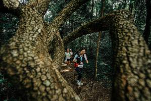 BIB: 
                            <button type="button" onclick="openModal(25701634)" class="btn btn-primary btn-sm float-right btn-popup" data-toggle="modal" data-target=".modal-high-quality">
                        <i class="fas fa-shopping-cart"></i> Add to Cart
                    </button>
                                            <button type="button" onclick="isThisMe(25701634, true)" class="btn btn-success btn-sm float-right btn-popup btn-isme hidden" data-toggle="tooltip" data-placement="bottom" title="นี่คือรูปของคุณใช่ไหม คลิกที่นี่เพื่อเอาเข้าอัลบั้ม">
                        <i class="fas fa-plus"></i> Add to album
                    </button>
                    <button type="button" onclick="isThisMe(25701634, false)" class="btn btn-warning btn-sm float-right btn-popup btn-isnotme hidden">
                        <i class="fas fa-ban"></i> Remove from album
                    </button>